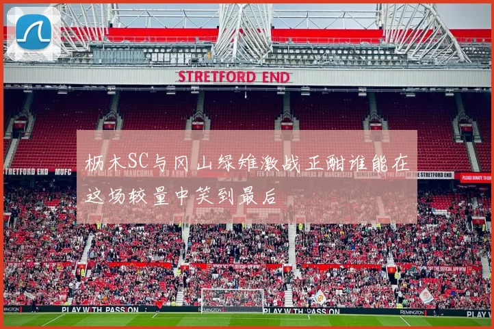 枥木SC与冈山绿雉激战正酣谁能在这场较量中笑到最后