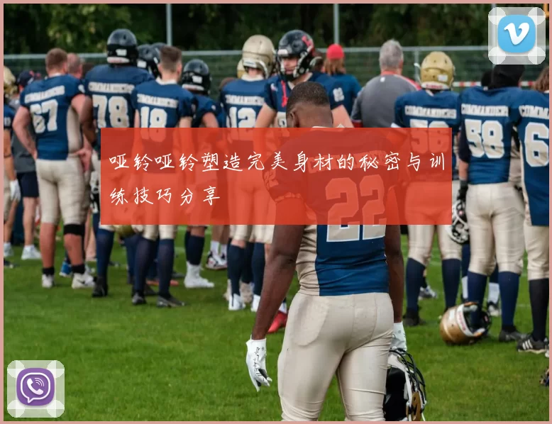哑铃哑铃塑造完美身材的秘密与训练技巧分享